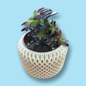 Macetero hexagonal pequeño