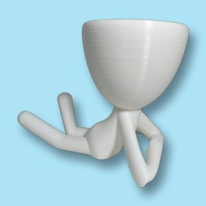 Macetero para cactus tumbado