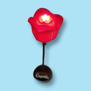 Rosa personalizada Con led
