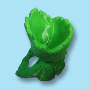 Macetero cactus Groot Corazón