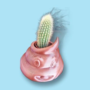 Macetero Emoji Caca