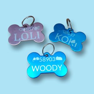Chapa de identificación de Mascotas